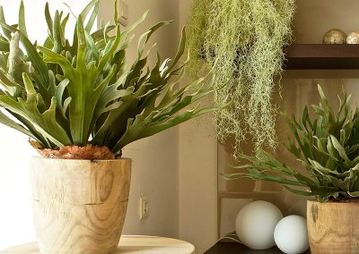 les-cornes-de-cerfs-TANAMAN-plantes-vegetation-artificielle-decoration-intérieur-professionnel-duoconcept