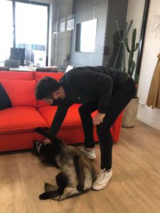 Ruby-les-animaux-au-bureau-article-duoconcept